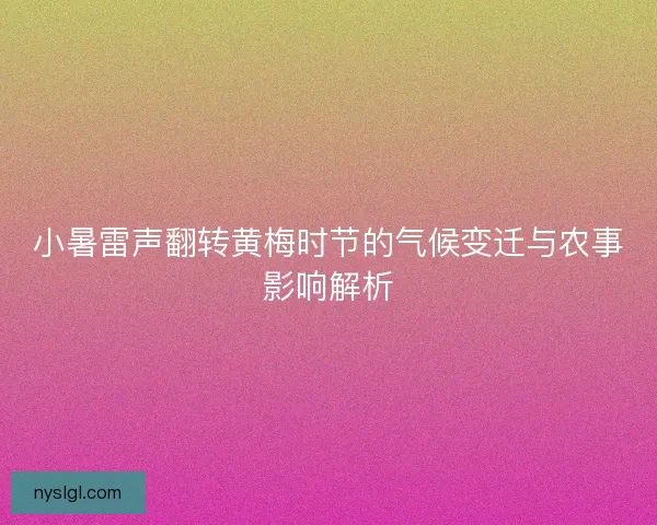 小暑雷声翻转黄梅时节的气候变迁与农事影响解析